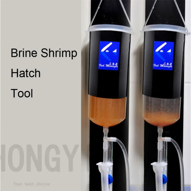 요정 새우 계란 아르테미아 살아있는 쉬운 해치 도구,  - Baby Food Shrimp 리뷰 및 가격